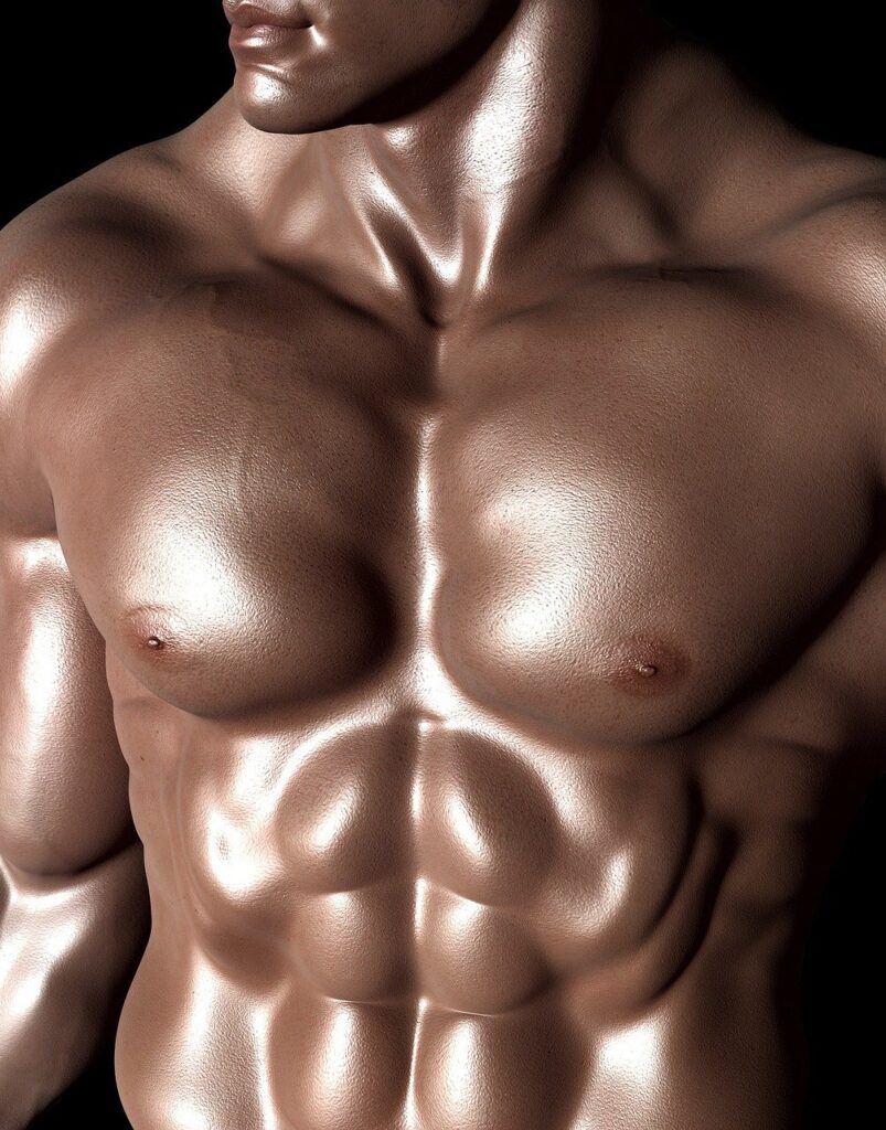 bodybuilder, sixpack, six-pack